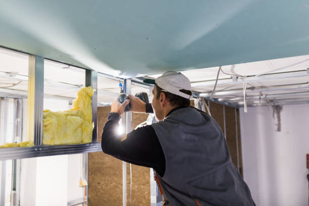 Best Types of Insulation in Savage, MN
