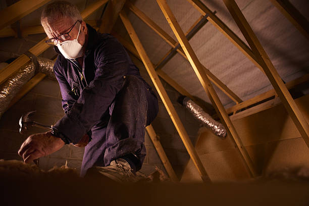 Best Insulation Installation Services in Savage, MN